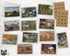 Vintage Farm - 24 Note Cards & Envelopes with Seal Stickers