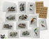 Vintage Birds - 24 Note Cards & Envelopes with Seal Stickers
