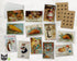 Retro Thanksgiving Dinner - 24 Note Cards & Envelopes with Seal Stickers