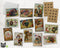 Vintage Thanksgiving Turkey - 24 Note Cards & Envelopes with Seal Stickers