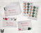Holiday Trinkets Christmas Cards Set - 24 Holiday Cards & Envelopes with Seal Stickers
