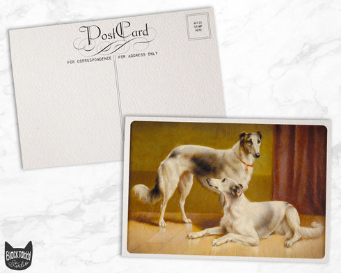 Vintage Dogs - 24 Postcards