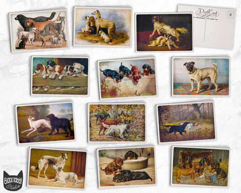 Vintage Dogs - 24 Postcards