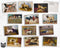 Vintage Dogs - 24 Postcards
