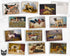 Vintage Dogs - 24 Postcards