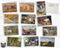 Vintage Farm - 24 Postcards
