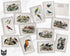 Vintage Birds - 24 Postcards