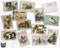 Vintage Christmas Animals - 24 Postcards