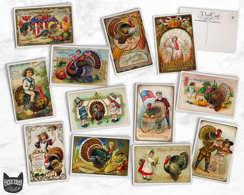 Vintage Thanksgiving Turkey - 24 Postcards