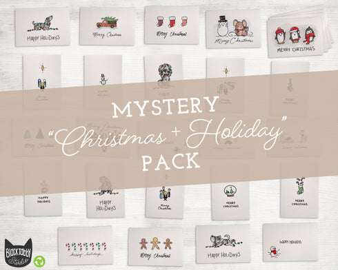 Mystery Pack - CHRISTMAS & HOLIDAY Collection - 24 Cards & Envelopes