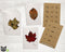 Zentangle Leaves Collection - 24 Cards with Envelopes & Seal Stickers