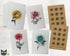 Botanical Watercolors - 24 Floral Note Cards with Envelopes & Seals