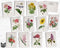 Vintage Floral Postcards - 24 Retro Postcards