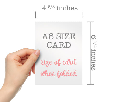 Friends & Co-Workers Collection - 24 Cards with Envelopes & Seal Stickers